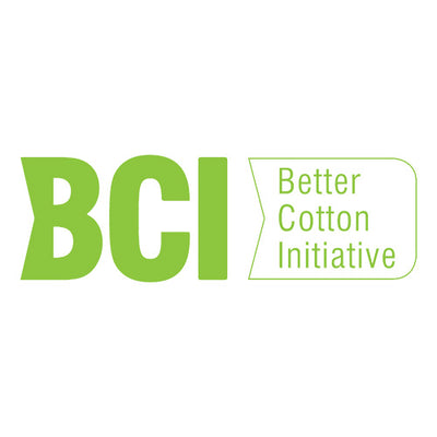 bci.jpg